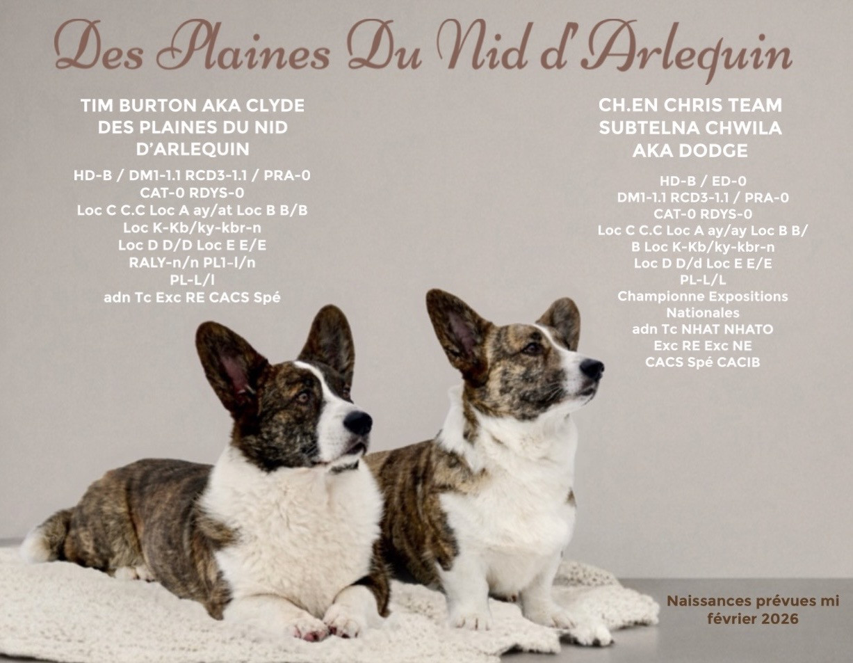 Bientôt des bébés