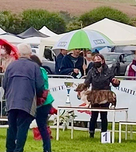Best In Show Puppy Chris Team Subtelna Chwila 